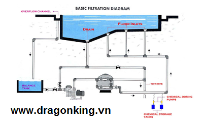 thiết kế hồ bơi tầng thượng